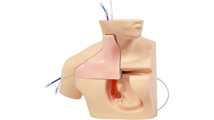 중심정맥 천자 실습모형